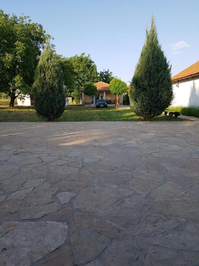 Vikendica Lesic Villa Cortanovci Buitenkant foto